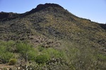 photo thumbnail #3