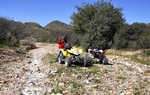 photo thumbnail #4