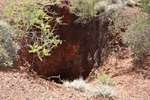 photo thumbnail #4