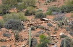 photo thumbnail #5