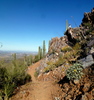 photo thumbnail #5