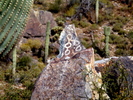 photo thumbnail #8