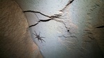 photo thumbnail #13