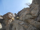 photo thumbnail #5