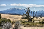 photo thumbnail #11