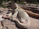 photo thumbnail #2