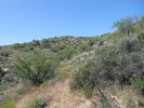 photo thumbnail #14