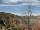 photo thumbnail #5