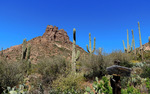 photo thumbnail #4