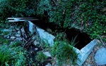 photo thumbnail #12