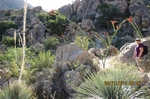 photo thumbnail #1