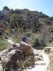 photo thumbnail #2