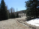 photo thumbnail #5