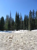 photo thumbnail #7