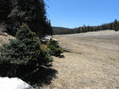 photo thumbnail #10