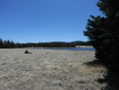photo thumbnail #12
