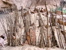 photo thumbnail #12