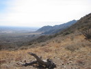 photo thumbnail #9