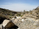 photo thumbnail #12