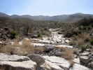 photo thumbnail #13