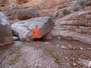 photo thumbnail #8