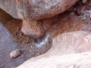 photo thumbnail #9