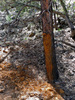 photo thumbnail #13