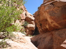 photo thumbnail #6