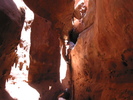 photo thumbnail #11
