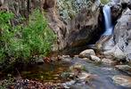 photo thumbnail #12