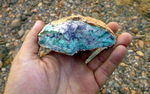 photo thumbnail #13