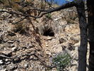 photo thumbnail #5