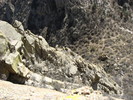 photo thumbnail #15