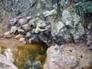 photo thumbnail #1
