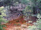 photo thumbnail #5