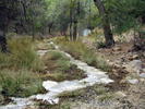 photo thumbnail #12