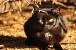 photo thumbnail #7