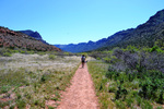 photo thumbnail #2