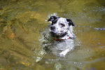 photo thumbnail #12