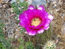 photo thumbnail #9