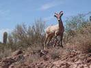 photo thumbnail #4