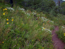 photo thumbnail #10