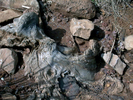 photo thumbnail #13