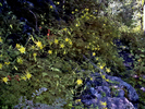 photo thumbnail #15