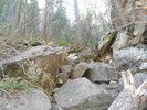 photo thumbnail #4