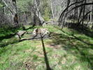 photo thumbnail #11