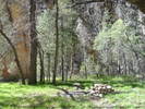 photo thumbnail #12