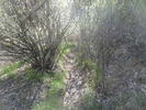 photo thumbnail #13