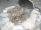 photo thumbnail #14