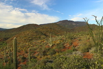 photo thumbnail #6